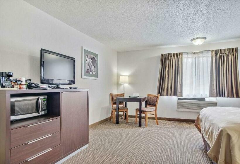 غرفة قياسية, Everspring Inn & Suites