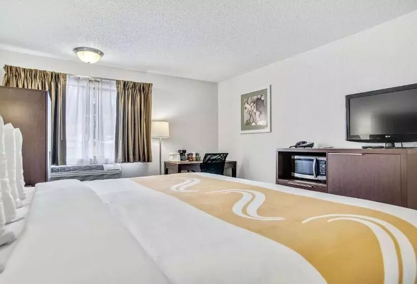 キングサイズベッドのスタンダードルーム, Everspring Inn & Suites
