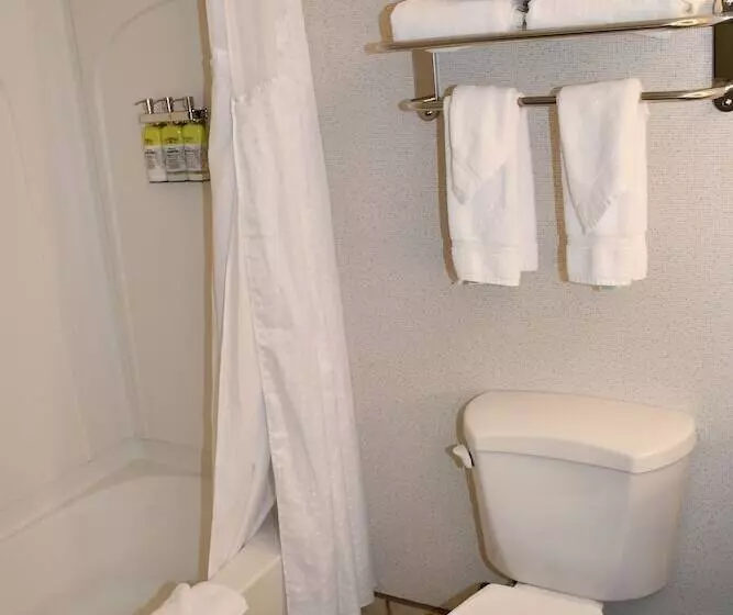 スイート, Holiday Inn Express Hotel & Suites Evanston, An Ihg