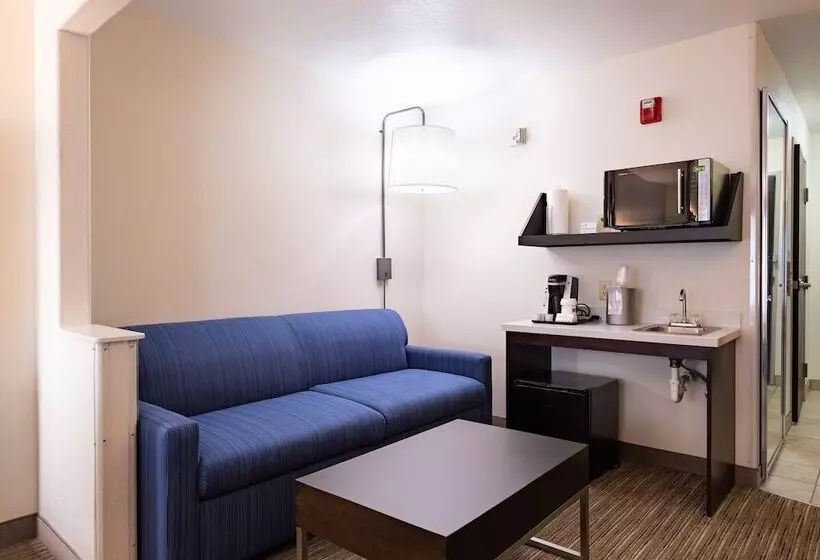スイート, Holiday Inn Express Hotel & Suites Evanston, An Ihg