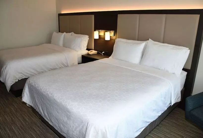 スタンダードルーム, Holiday Inn Express Hotel & Suites Evanston, An Ihg
