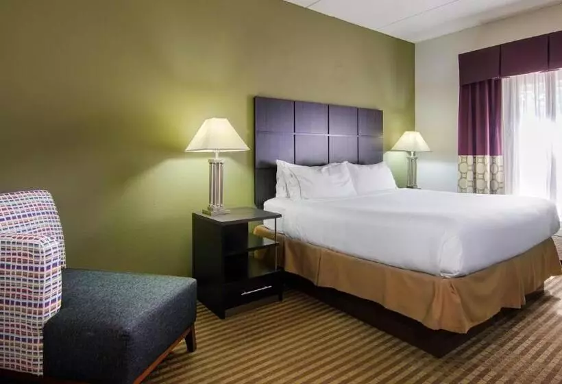 キングサイズベッドのスタンダードルーム, Holiday Inn Express Hotel & Suites Mooresville   Lake Norman, An Ihg