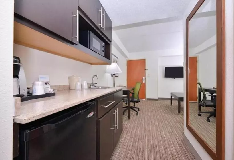 キングサイズベッドのスイートルーム, Holiday Inn Express Hotel & Suites Mooresville   Lake Norman, An Ihg