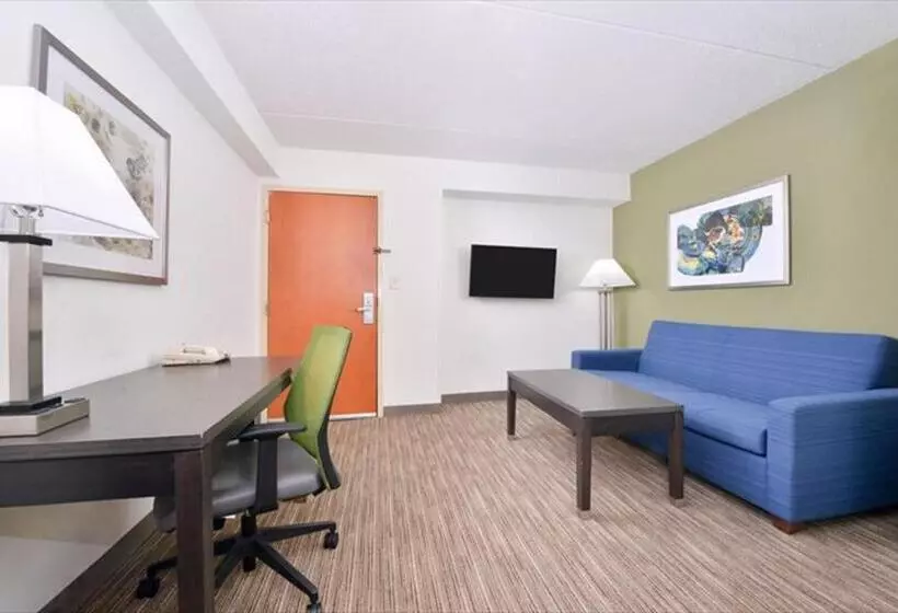 キングサイズベッドのスイートルーム, Holiday Inn Express Hotel & Suites Mooresville   Lake Norman, An Ihg