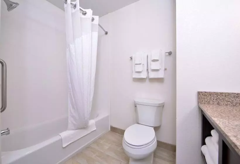 اتاق استاندارد, Holiday Inn Express & Suites Page Lake Powell Area, An Ihg