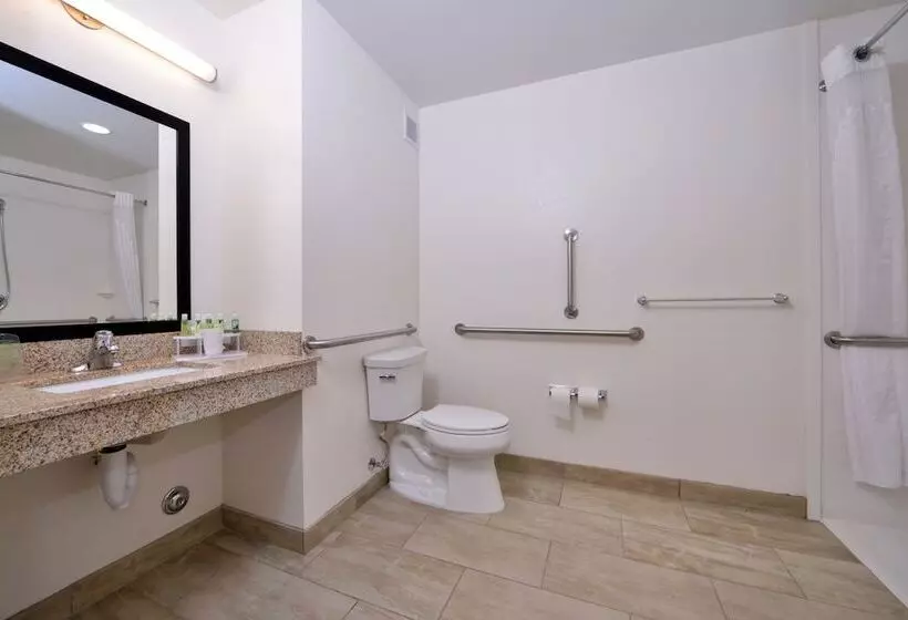 سوئیت برای معلولان, Holiday Inn Express & Suites Page Lake Powell Area, An Ihg