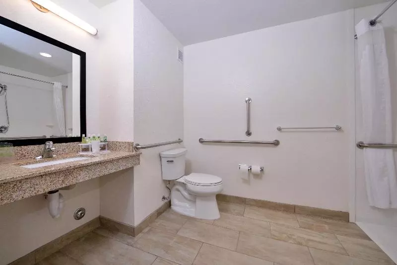 اتاق استاندارد برای معلولان, Holiday Inn Express & Suites Page Lake Powell Area, An Ihg