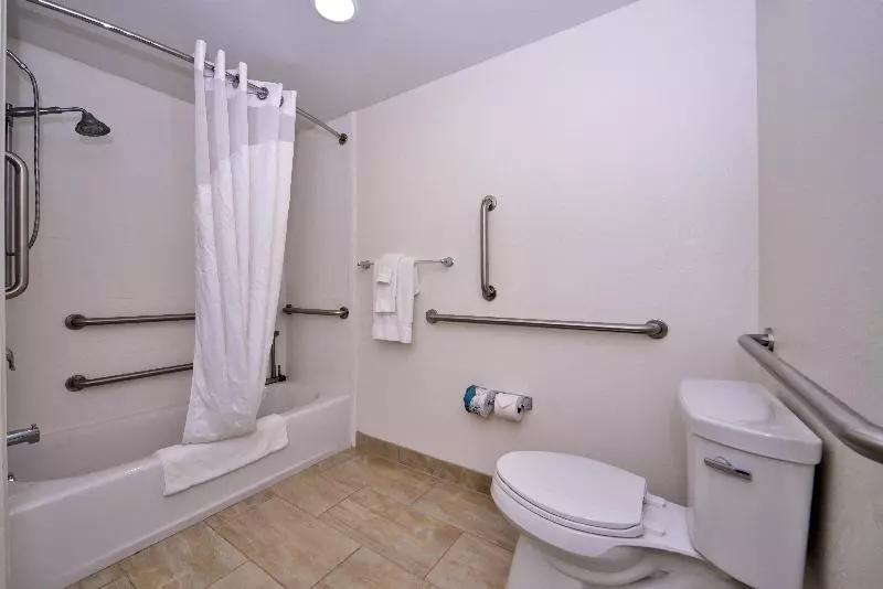 اتاق استاندارد با تخت بزرگ برای معلولان, Holiday Inn Express & Suites Page Lake Powell Area, An Ihg