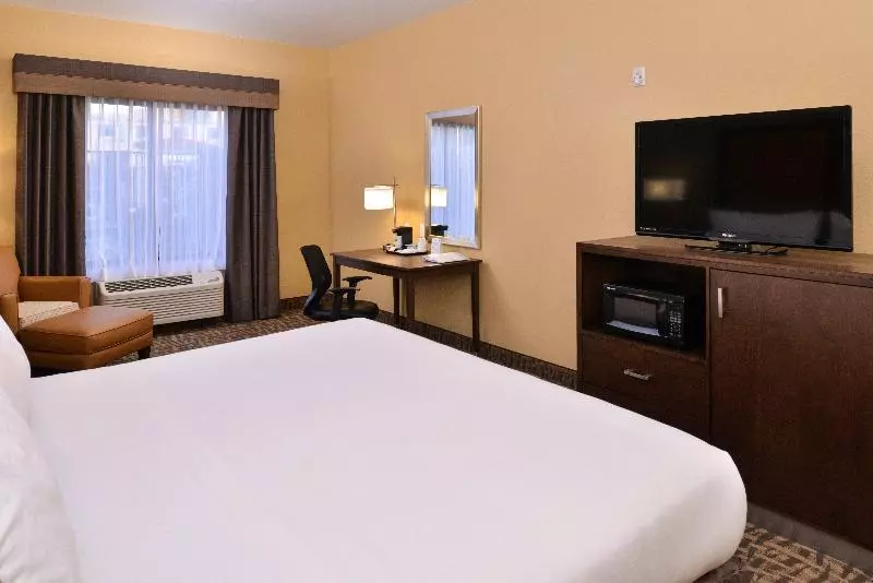 اتاق استاندارد با تخت بزرگ, Holiday Inn Express & Suites Page Lake Powell Area, An Ihg