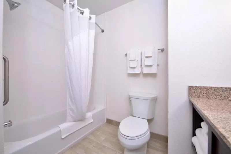 اتاق استاندارد با تخت بزرگ برای معلولان, Holiday Inn Express & Suites Page Lake Powell Area, An Ihg