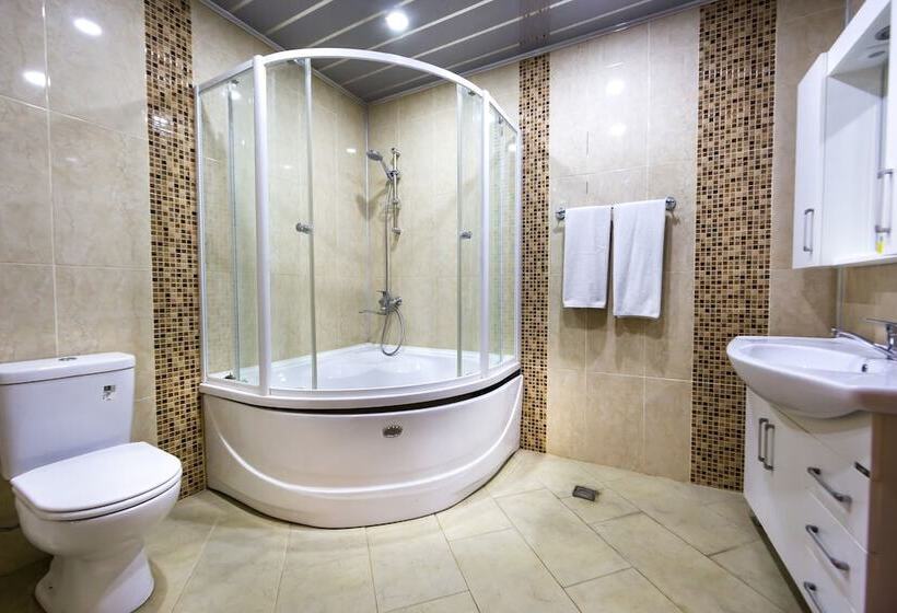 اتاق استاندارد, Premier