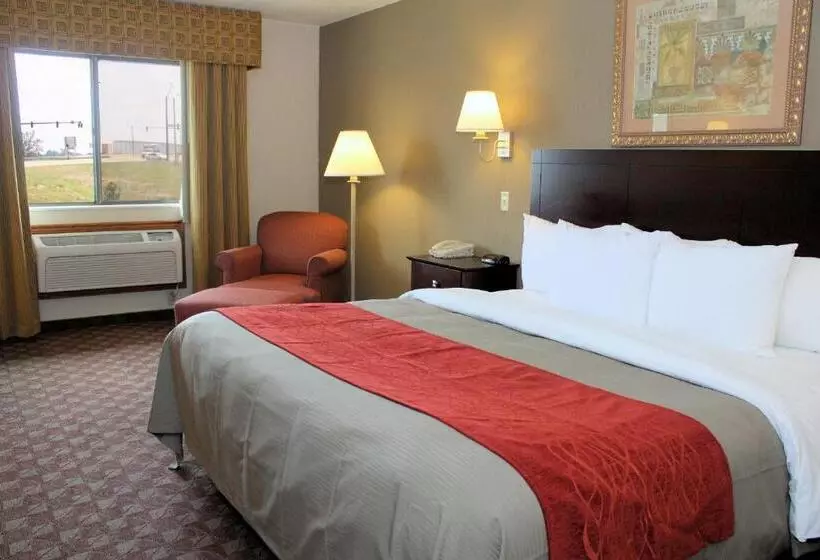 キングサイズベッドのスタンダードルーム, Quality Inn
