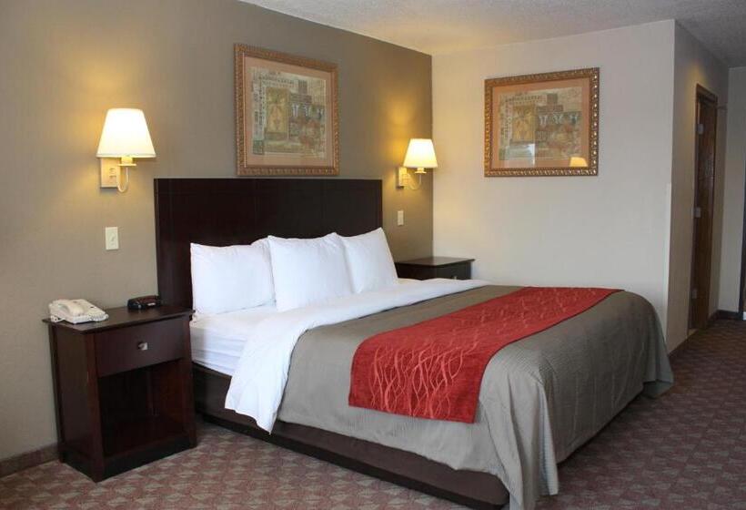 غرفة قياسية سرير كينج, Quality Inn