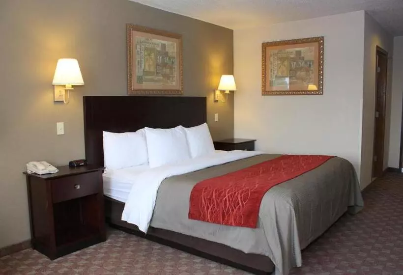 キングサイズベッドのスタンダードルーム, Quality Inn