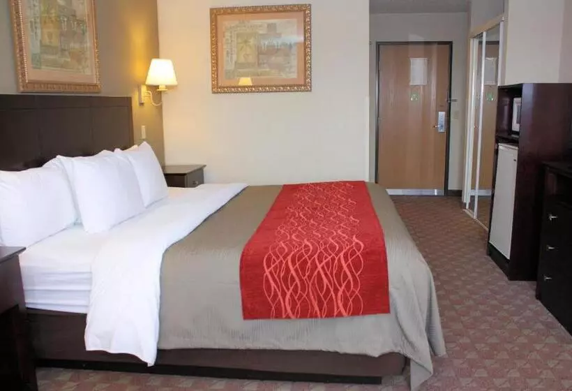 キングサイズベッドのスタンダードルーム, Quality Inn