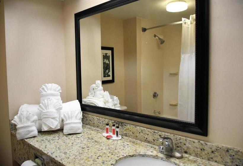 מיטת קינג בסוויטה, Ramada By Wyndham Pigeon Forge North