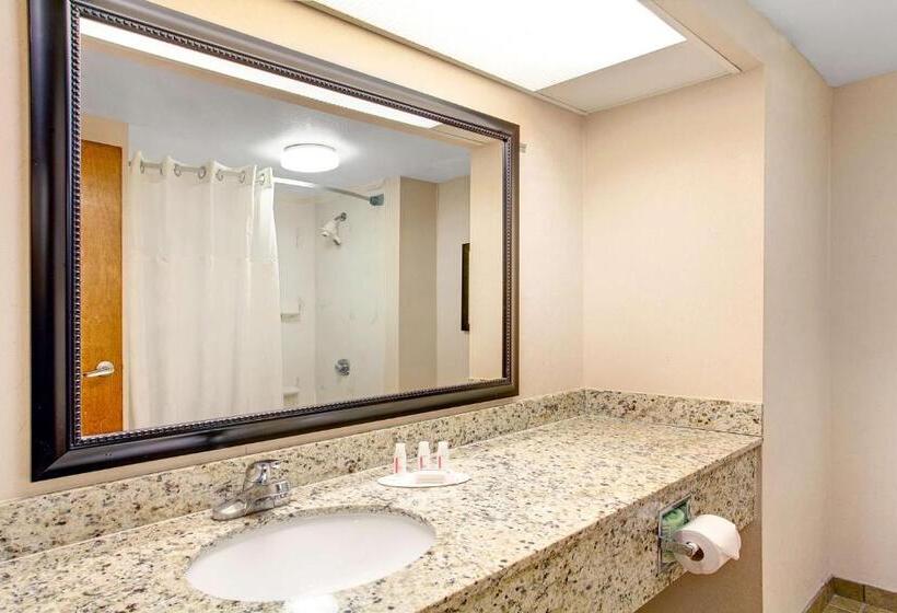 חדר סטנדרט עם מיטת קינג, Ramada By Wyndham Pigeon Forge North