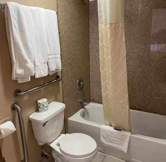 اتاق استاندارد با 2 تخت دوبل, Riverton Inn & Suites