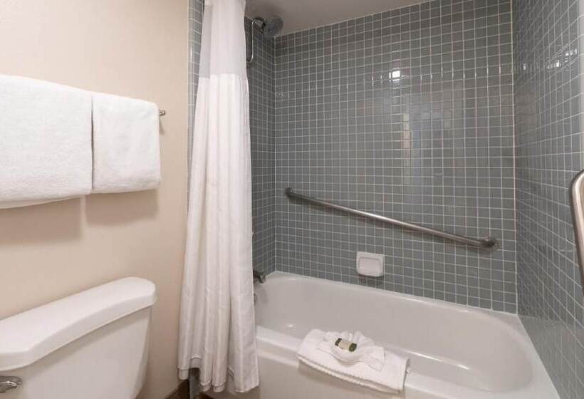 スタンダードスタジオ, San Clemente Cove