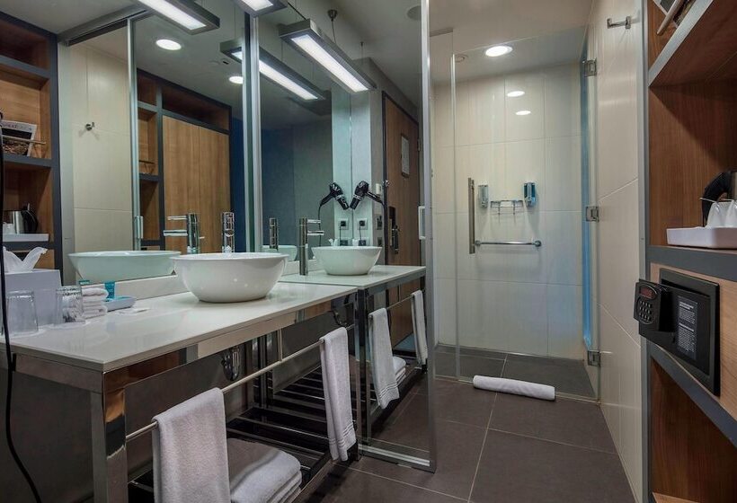 اتاق استاندارد, Aloft Bursa