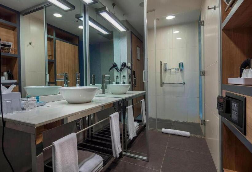 اتاق استاندارد, Aloft Bursa