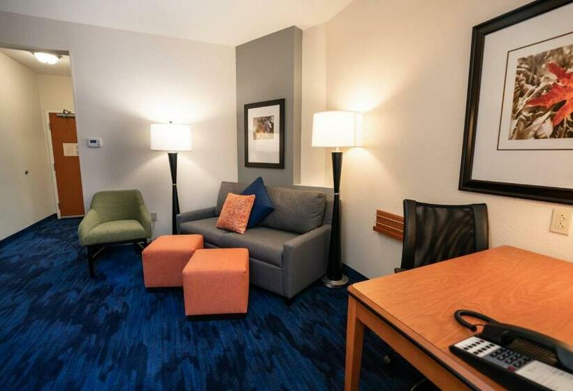 带大床的标准工作室, Fairfield Inn & Suites By Marriott Kearney