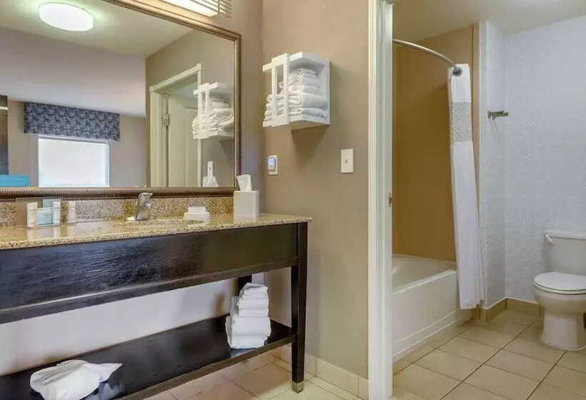 スタンダードスタジオ, Hampton Inn Alamosa, Co