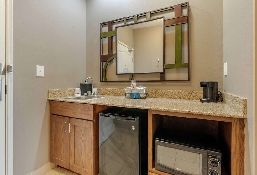 Standard Studio, Hampton Inn Alamosa, Co