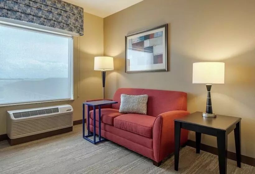 スタンダードスタジオ, Hampton Inn Alamosa, Co