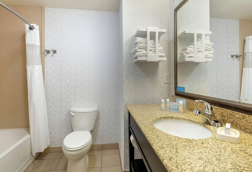 غرفة قياسية, Hampton Inn Alamosa, Co