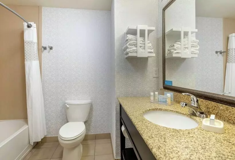 スタンダードルーム, Hampton Inn Alamosa, Co