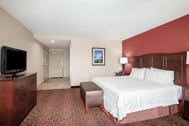 اتاق استاندارد با تخت بزرگ, Hampton Inn & Suites Denver/southridgegate