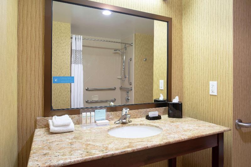 اتاق استاندارد با تخت بزرگ, Hampton Inn & Suites Denver/southridgegate