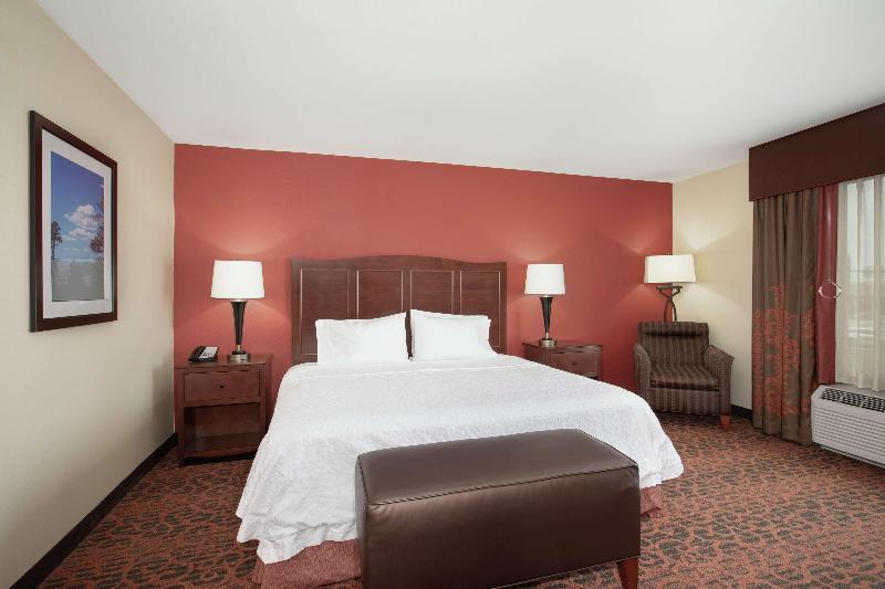 اتاق استاندارد با تخت بزرگ, Hampton Inn & Suites Denver/southridgegate