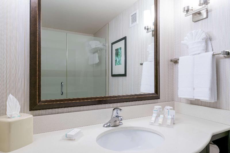 חדר סטנדרט עם מיטת קינג, Hilton Garden Inn Valley Forge/oaks