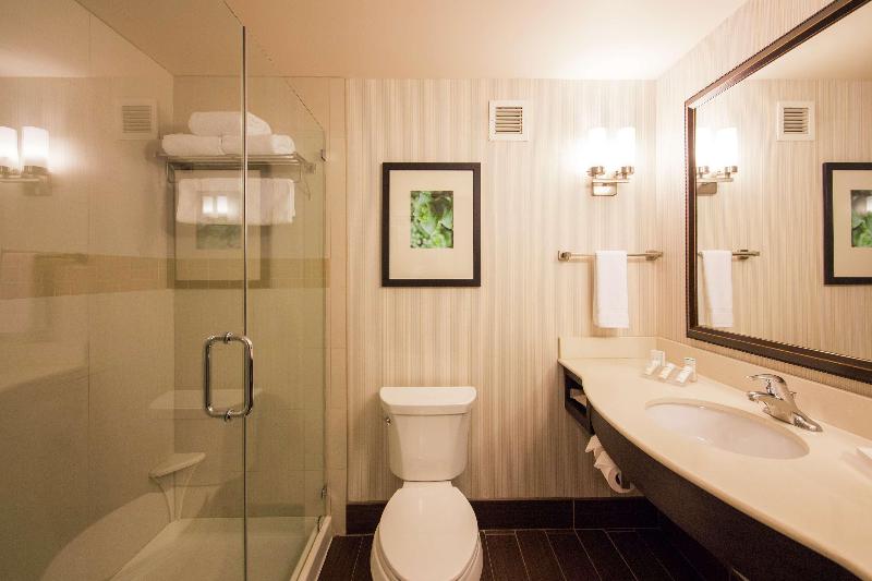 חדר סטנדרט עם מיטת קינג, Hilton Garden Inn Valley Forge/oaks