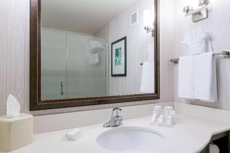 キングサイズベッドのデラックスルーム, Hilton Garden Inn Valley Forge/oaks