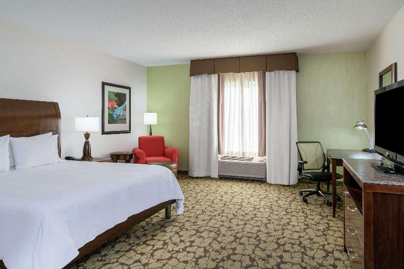 חדר דחוקס עם מיטת קינג, Hilton Garden Inn Valley Forge/oaks