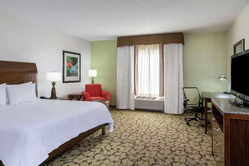 キングサイズベッドのデラックスルーム, Hilton Garden Inn Valley Forge/oaks