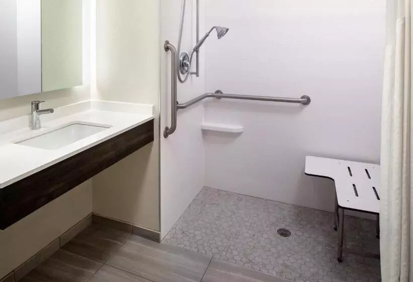 身障者適用キングサイズベッドルーム, Holiday Inn Express And Suites Los Alamos Entrada Park, An Ihg