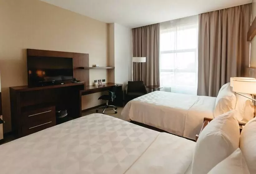 ２ダブルベッドのスタンダードルーム, Holiday Inn Guayaquil Airport, An Ihg