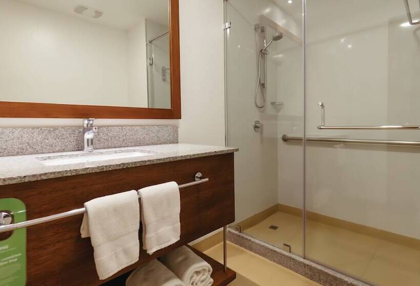 غرفه قياسيه سريرين مزدوجين, Holiday Inn Guayaquil Airport, An Ihg