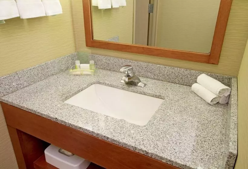 سوئیت پرزیدنت, Holiday Inn Monclova, An Ihg