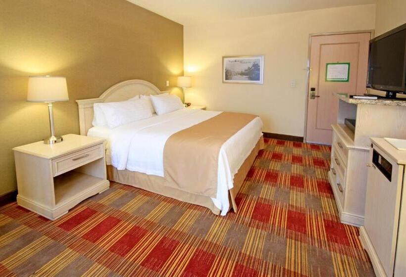 キングサイズベッドのスタンダードルーム, Holiday Inn Monclova, An Ihg