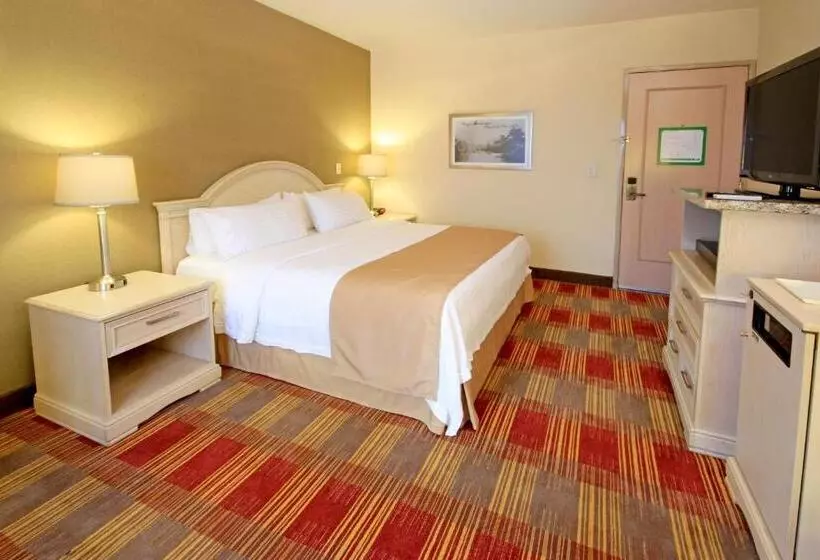 اتاق استاندارد با تخت بزرگ, Holiday Inn Monclova, An Ihg