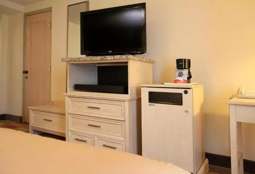 اتاق استاندارد, Holiday Inn Monclova, An Ihg