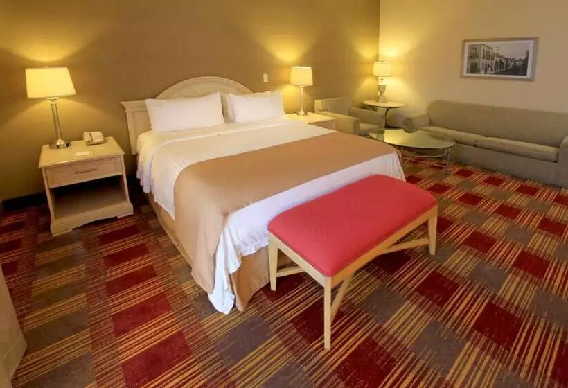 اتاق استاندارد با تخت بزرگ, Holiday Inn Monclova, An Ihg