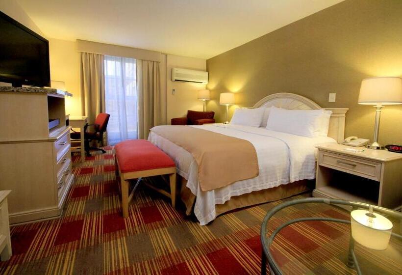 スタンダードルーム, Holiday Inn Monclova, An Ihg
