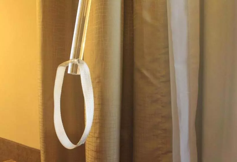 اتاق استاندارد برای معلولان, Holiday Inn Monclova, An Ihg
