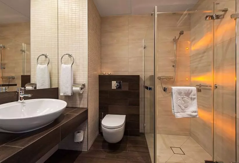1ベッドルームアパートメント, Różany Gaj Destigo Hotels